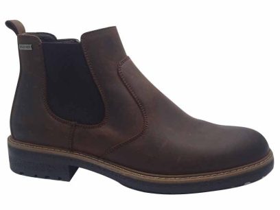 {{brizy_dc_image_alt entityId=